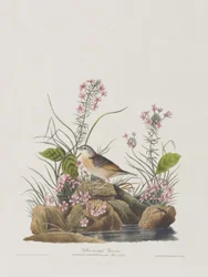 Illustration de 