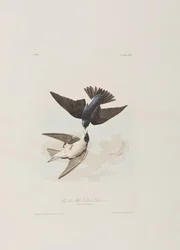 Illustration de 