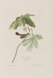 Illustration de 