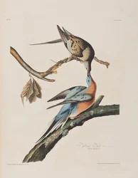 Illustration de 