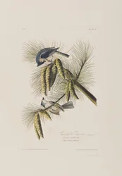 Illustration de 