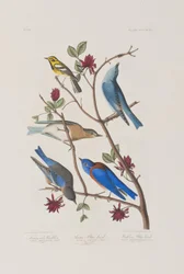 Illustration de 
