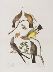 Illustration de 