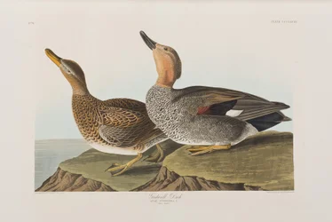 Illustration de 
