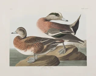 Illustration de 