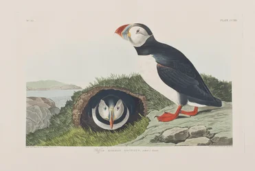 Illustration de 