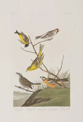 Illustration de 