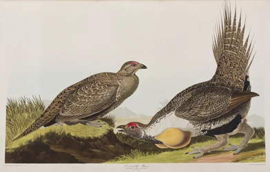 Illustration de 