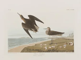 Illustration de 