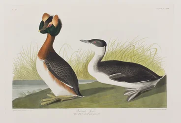 Illustration de 