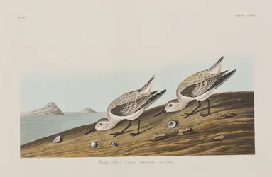 Illustration de 
