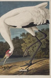 Illustration de 