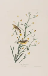 Illustration de 