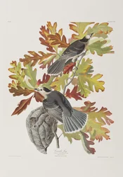 Illustration de 