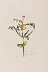 Illustration de 