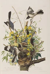 Illustration de 