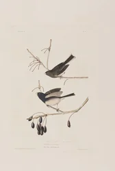 Illustration de 