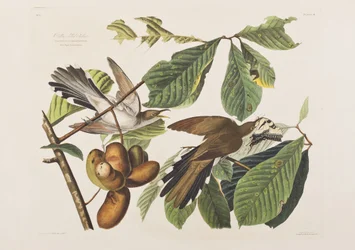 Illustration de 