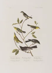 Illustration de 