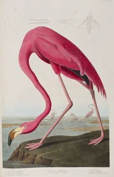 Illustration de 