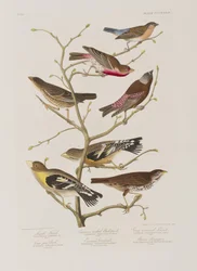 Illustration de 