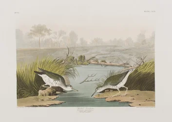 Illustration de 