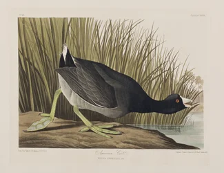 Illustration de 