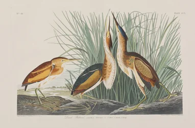 Illustration de 