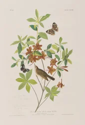 Illustration de 