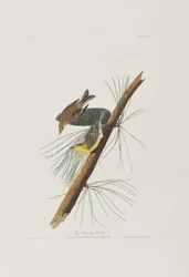 Illustration de 