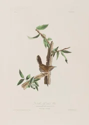 Illustration de 