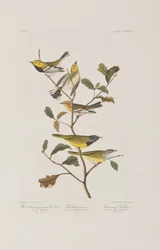 Illustration de 