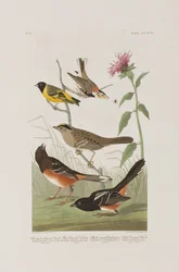 Illustration de 