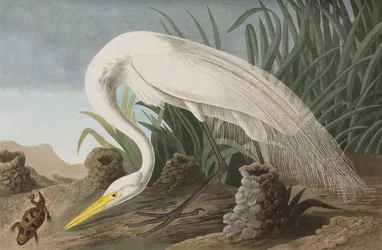 Illustration de 