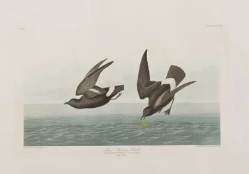 Illustration de 