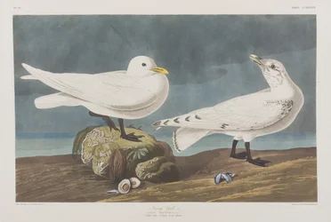 Illustration de 