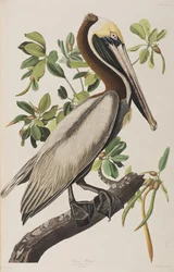 Illustration de 