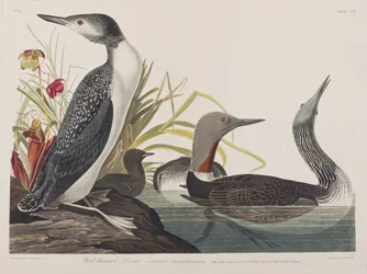 Illustration de 