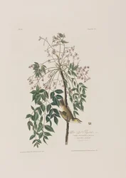 Illustration de 