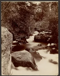 Boulder Creek, plateau d