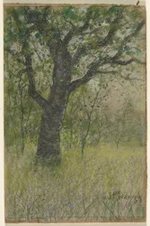 Paysage