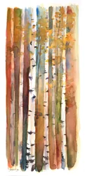 Bouleaux en automne, 2013