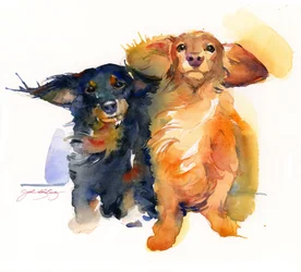 Duo de teckels