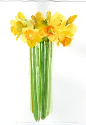 Bouquet de jonquilles, 2014