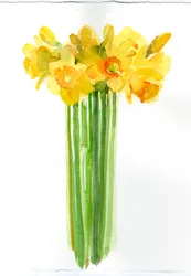Bouquet de narcisses