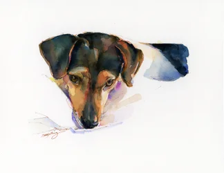 Portrait de Scout