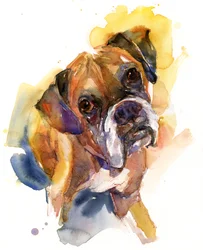 Portrait de Stanley
