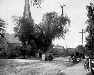 Washington Elm et pierre commémorative, Cambridge, Massachusetts, USA, 1893