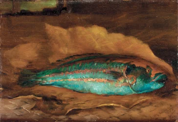 Étude du poisson-perroquet, Samoa