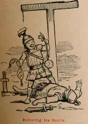 Récolte des dépouilles